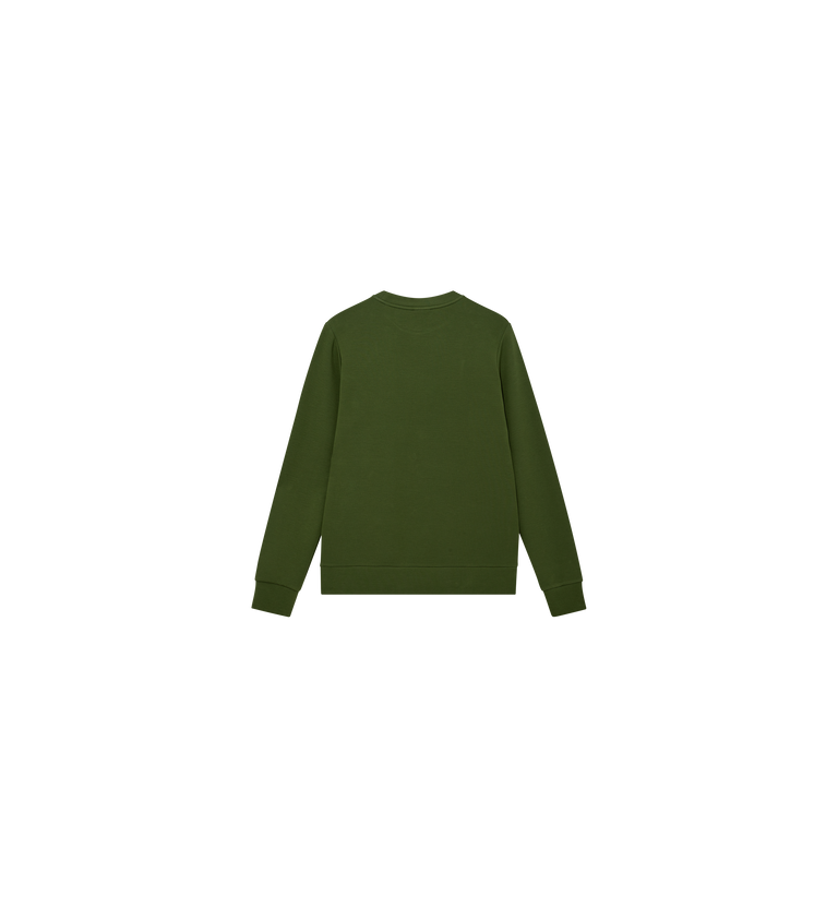 Packshot / Cactus / Back
